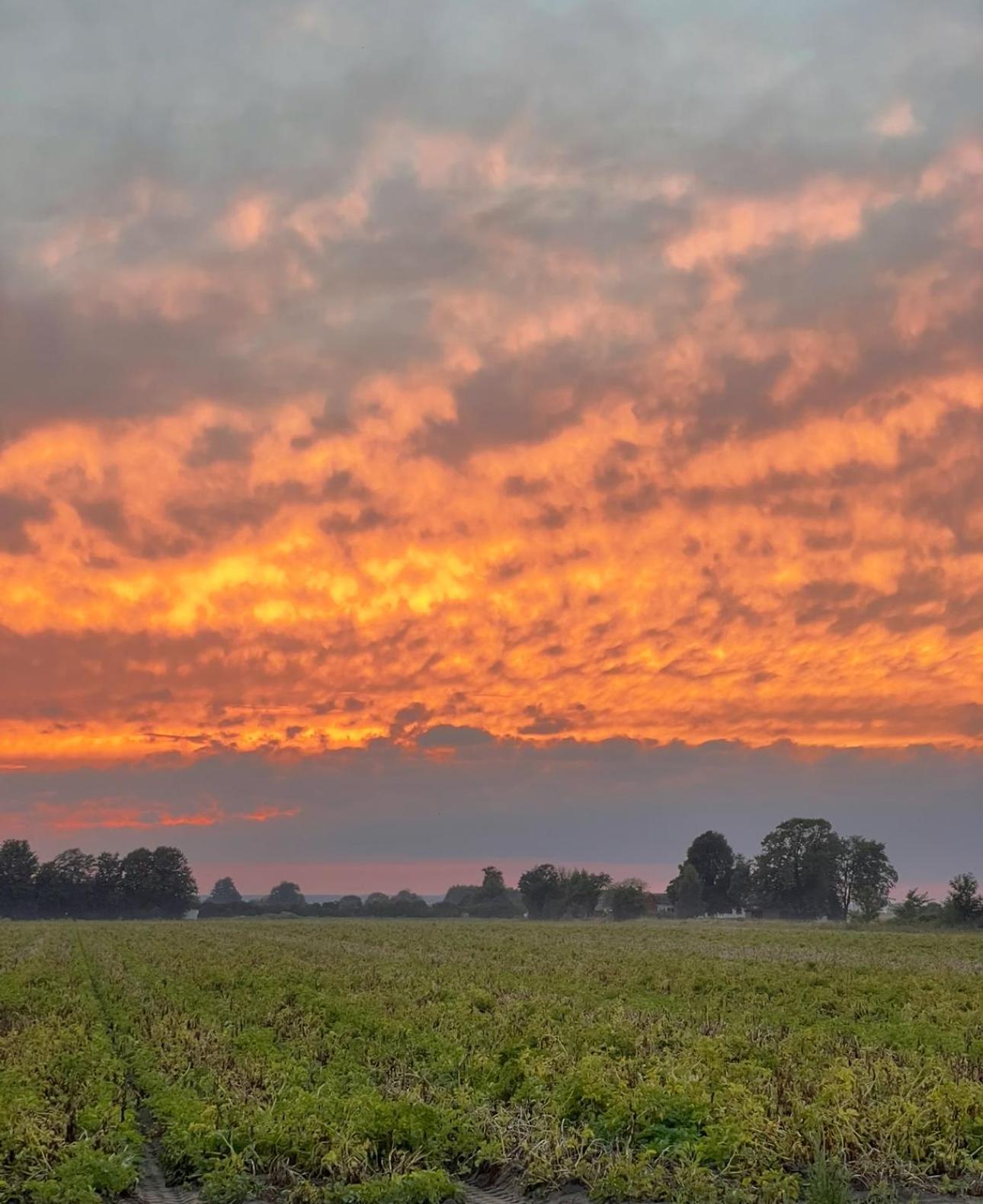 Lunagarden Åhus Exteriér fotografie